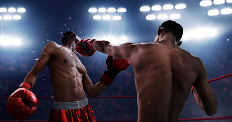 Two boxers fighting