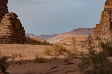 Wadi Rum - 9
