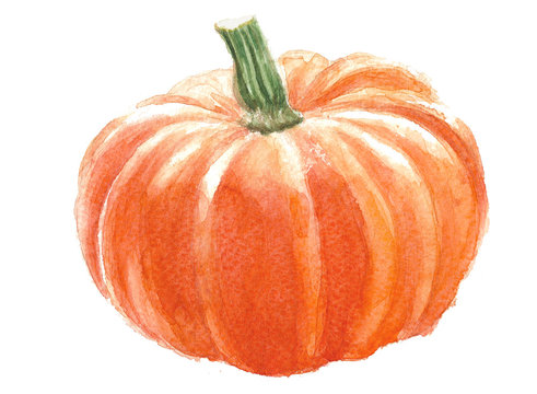 watercolor illustration of a pumpkin on a celebration of halloween,