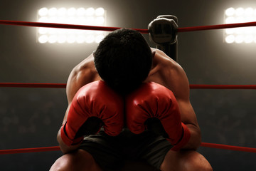 Muscular boxer resting