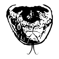 Snake head in ink