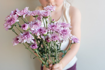 cropped view of child holding purple chrysanthemum flowers (selective focus)