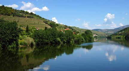 Fototapeta na wymiar vallée du Douro