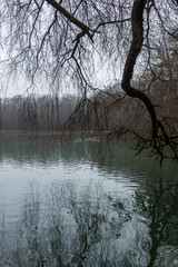 Stempflesee im Siebentischwald in Augsburg, Bayern, Deutschland