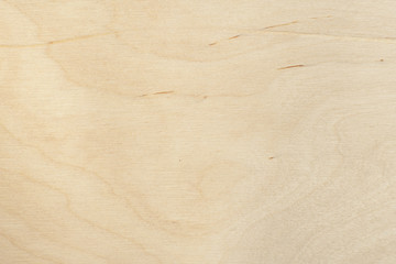 Wood texture. Wood texture for design and decoration