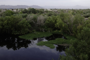 Rio Salado 003