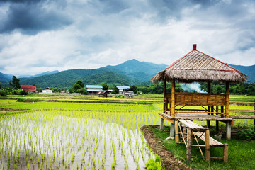 View of rice fields and mountains and hut in Wat Phuket