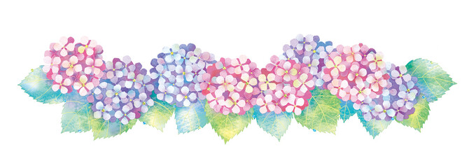 あじさいのイラスト