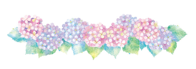 あじさいのイラスト