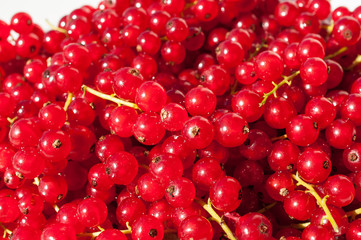 Background of Ripe Red Currant