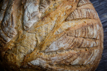 macro of whole handmade round white wheat bread