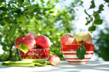Panele Szklane  Świeże, soczyste, rumiane jabłka w czerwonej tablicy kropek na stole na tle sadu jabłkowego i niebo w przyrodzie w słoneczny dzień. Piękne jabłka w zbliżeniu słońca, kopia przestrzeń.