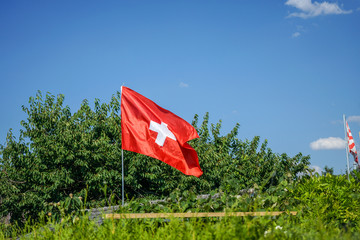 switzerland national flag in garden with blue sky