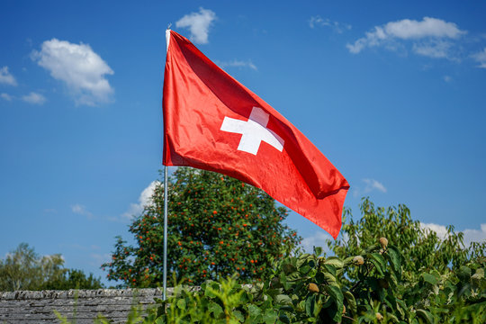 switzerland national flag in garden with blue sky