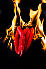 Burning hot chili on black background