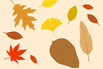 Fototapeta premium Autumn leaves illustration.