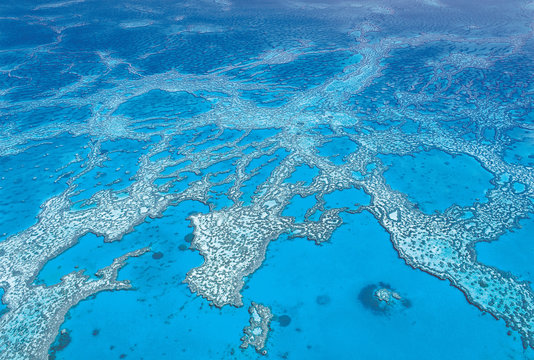 Austraila: Aerial shot of the Hardy Coral Reef at the Whitsunday Islands in the  Great Barrier Reef,