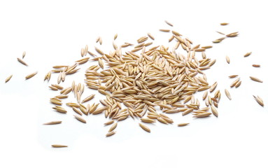 Oats isolated on white background