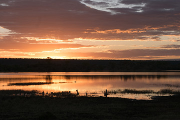 Naklejka premium Sunset in Africa