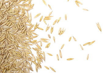 Oats isolated on white background, top view