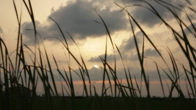 Atardecer