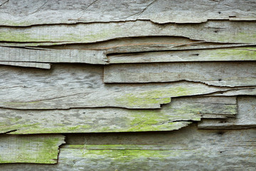 Texture of old colorful wood pattern for background.