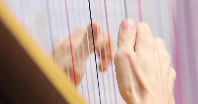 4k unrecognizable musician playing performing harp close up plucking strings shallow dof background. Faceless woman improvising folk musical instrument macro. Classic music culture concert solo