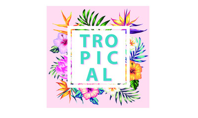 tropical collection with exotic flowers and leaves vector design isolated elements on the white, stock vector tropical a covers hawaiian exotics backgrounds palm leaves with frames use for invitation 