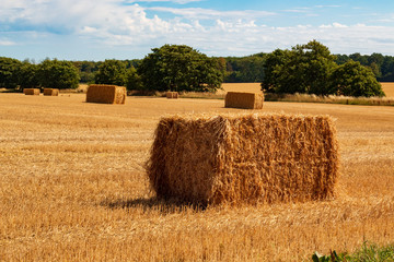 big straw ball on the ground in the summer