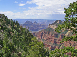 View of Grand Canyon at North Rim Campsite