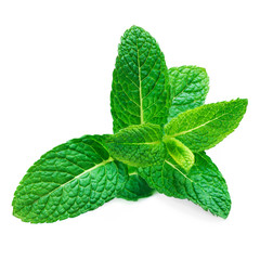 Fresh raw mint leaf isolated on white background. Spearmint leaves, peppermint macro. © nataliazakharova