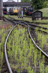 Main Line Steam Trust