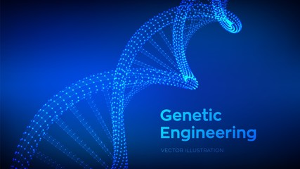 DNA sequence. Wireframe DNA molecules structure mesh. DNA code editable template. Science and Technology concept. Vector illustration.