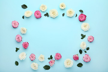Pink and white rose flowers on blue background