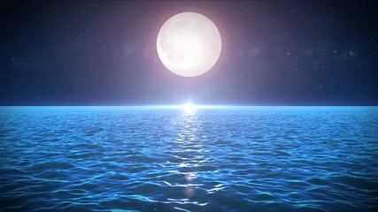 Seascape In The Moonlight Background/
Animation of loopable night ocean landscape with beautiful moonlight, water waves texture and starry sky - Powered by Adobe