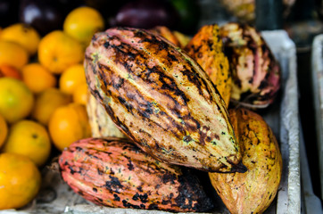 Fruit of cocoa in the shop of Sri Lanka.
