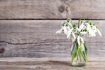 Bouquet of snowdrop flowers in glass bottle on grey background