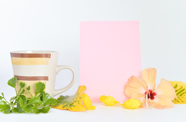 cofee cup and coloured board for copy space isolated on white background.