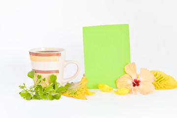 cofee cup and coloured board for copy space isolated on white background.