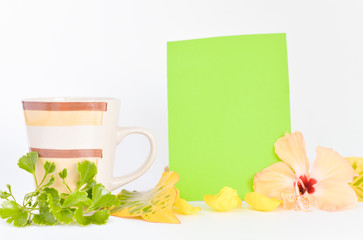 cofee cup and coloured board for copy space isolated on white background.
