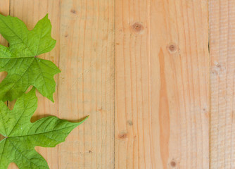 Agarwood leaves on wooden texture with text space.