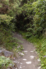 Putangirua Pinnacles, New Zealand