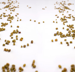 Kidney beans scattered over white background