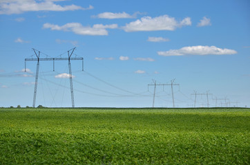 Fototapeta na wymiar Electric network in the field