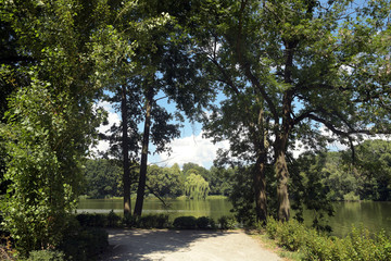 volkspark jungfernheide