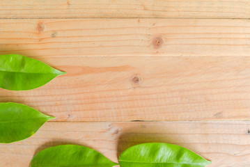 Agar wood leaves on wooden table with text space.