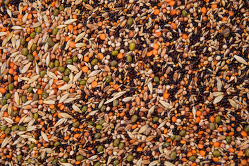 Top view close up of a different beans and seeds on a white background
