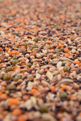 Top view close up of a different beans and seeds on a white background