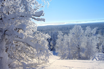 Snowy Countryside
