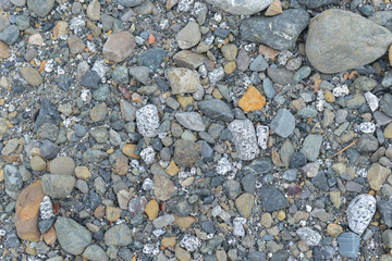 Egg plant, tomatoes, and cucumber isolated on bright background. Selective focus.